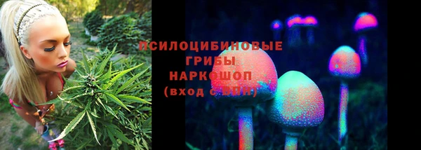 молекула духа Балахна