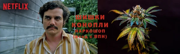 spice Балабаново